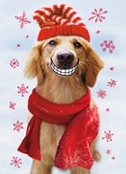 Big smile dog christmas